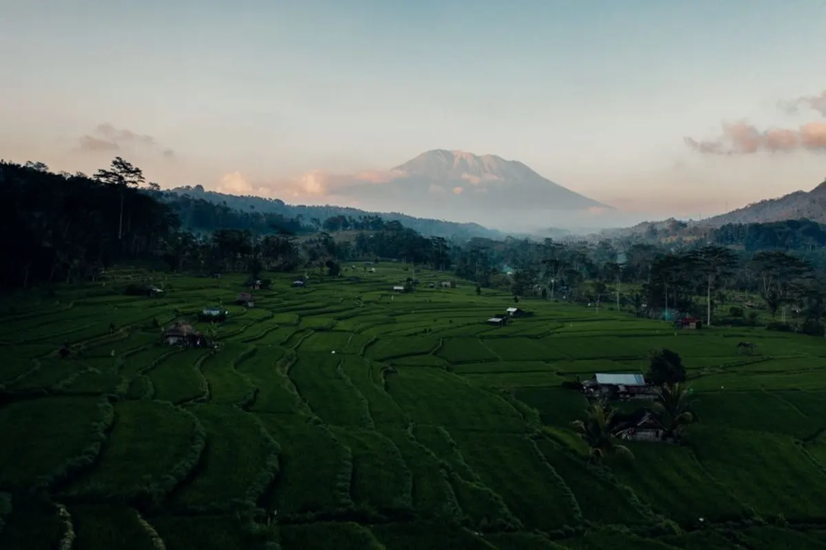 Penginapan Bedugul yang termasuk sarapan pagi — Pilihan Hemat di Pelangi