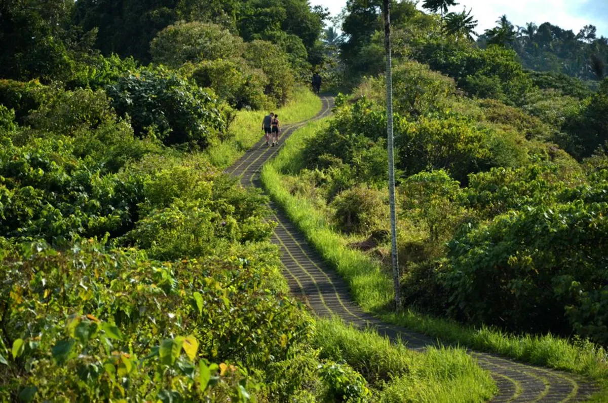 Wisata Bedugul Murah untuk Backpacker: Jelajah Alam dan Budaya